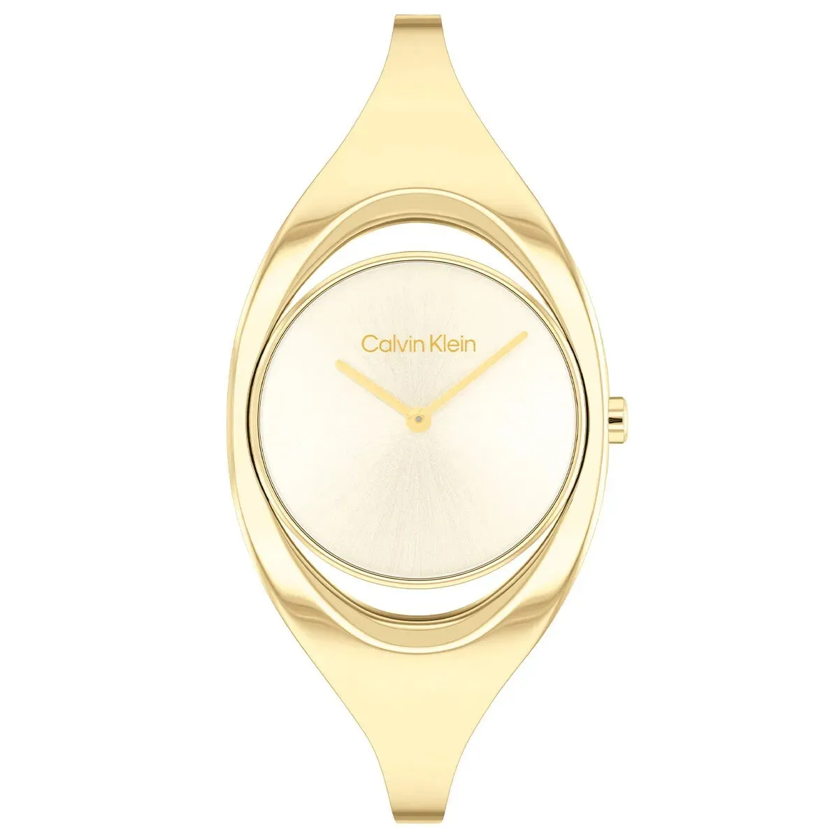 Calvin Klein CK25200391 Kadın Kol Saati - 1